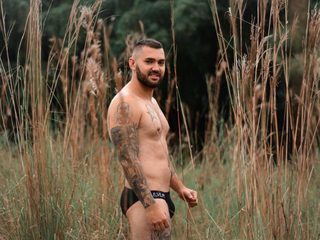 Stephen Walkins