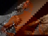 Romano Muscle