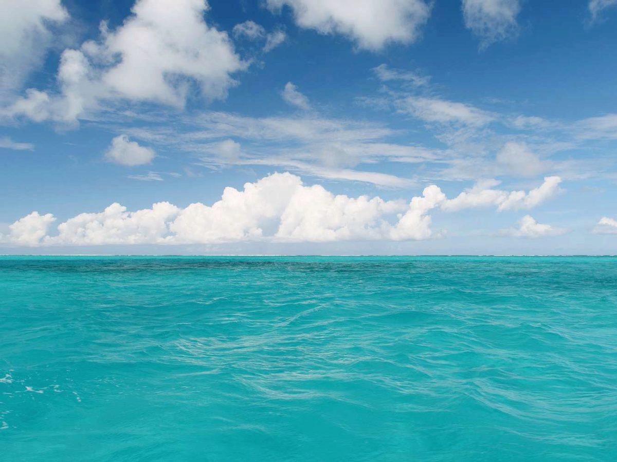 Vs Live Testing Guys