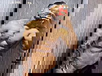 Markus Kent