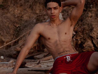 Nikolai Drake
