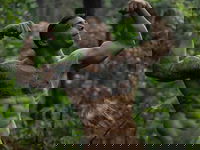 Joseph Core