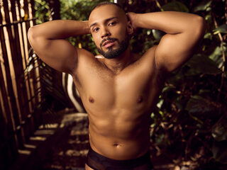 Lion Ferrer