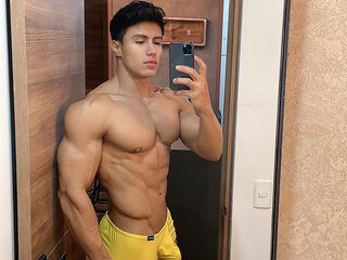 Terceo Muscle